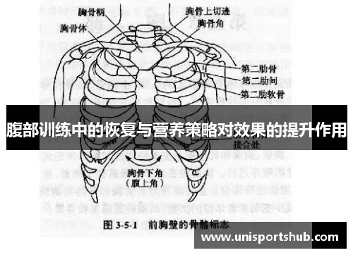 腹部训练中的恢复与营养策略对效果的提升作用